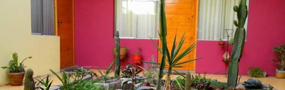 Hotel Mirasol Arequipa Zewnętrze zdjęcie
